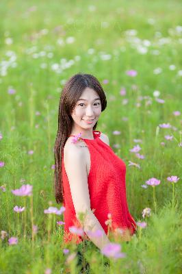 麻花影视MV免费观看完整版